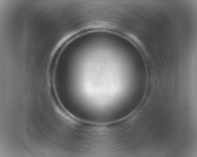 X0000082141120200701262235