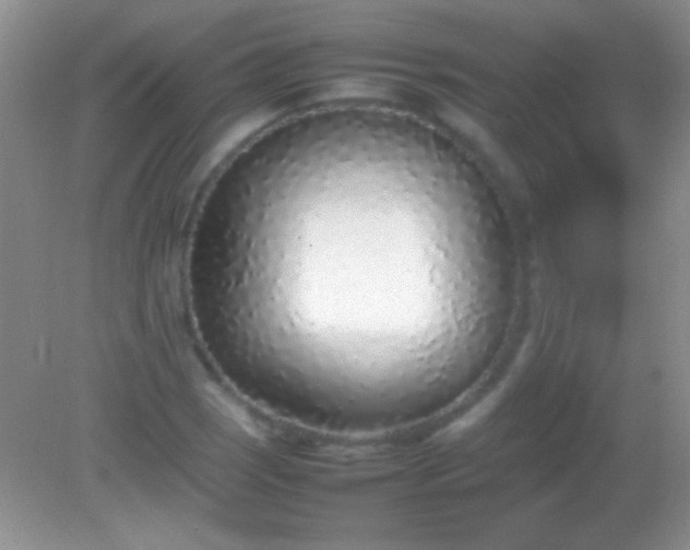 X0000082141121200701262235