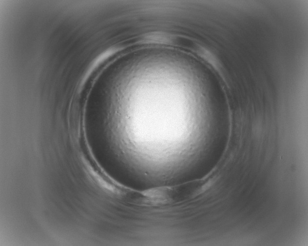 X0000082141123200701262235