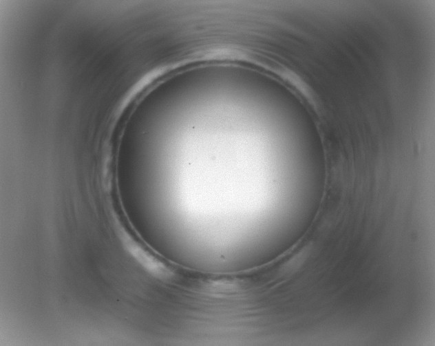 X0000082141126200701262235