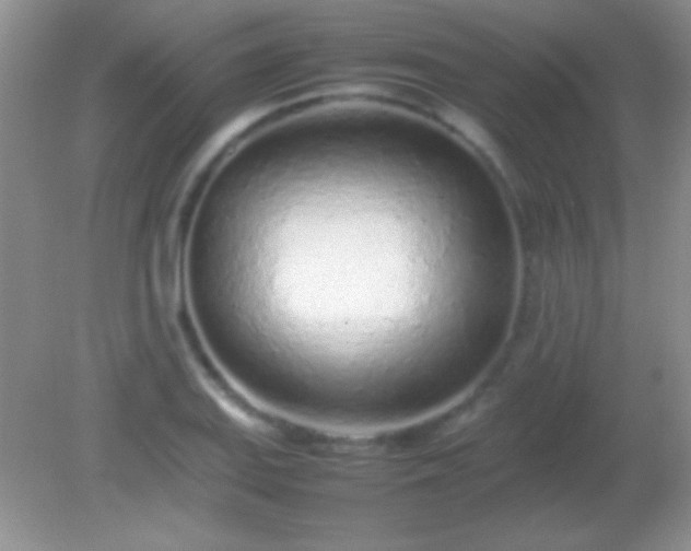 X0000082141127200701262235