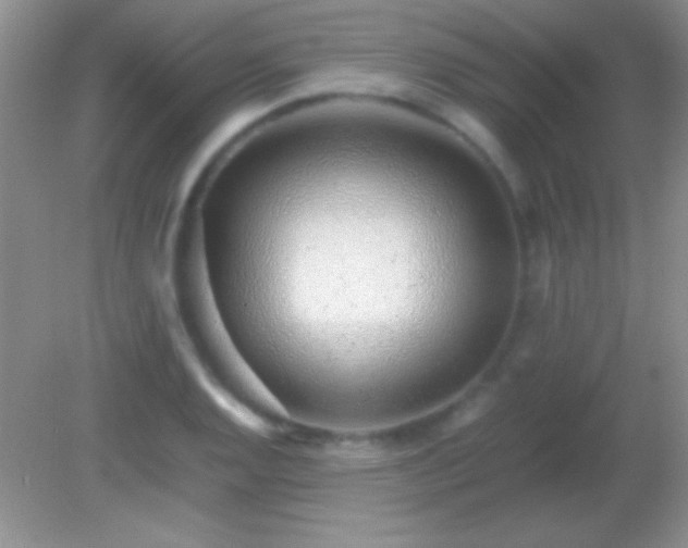 X0000082141128200701262235