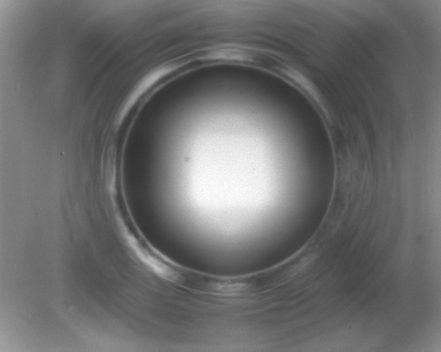 X0000082141131200701262236