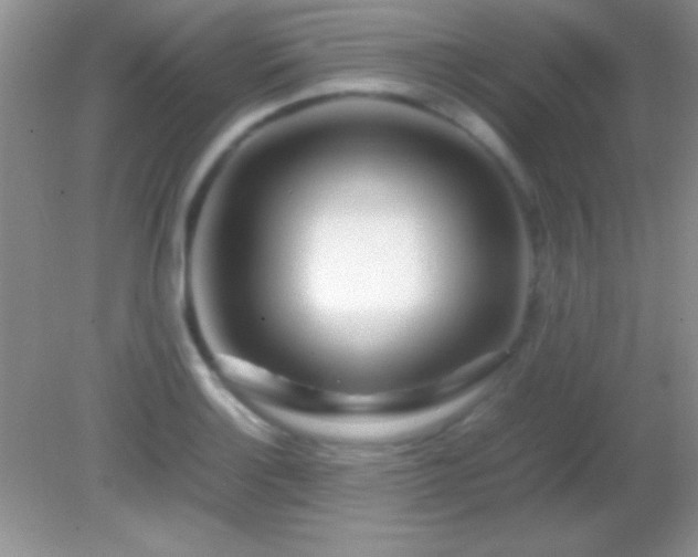 X0000082141132200701262236