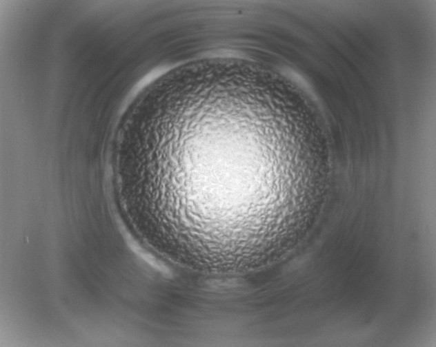 X0000082141133200701262236