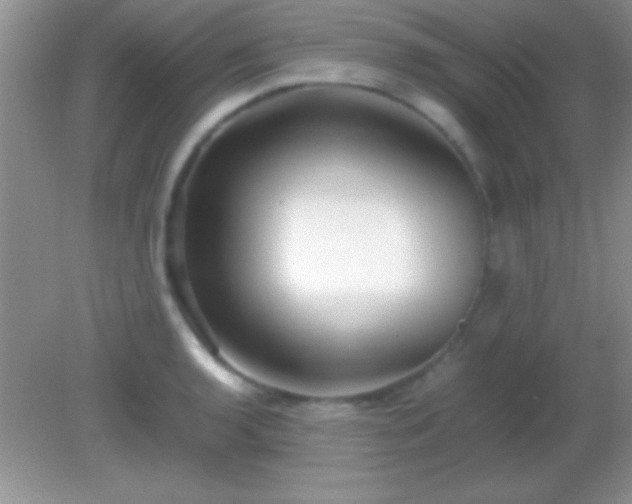 X0000082141136200701262236