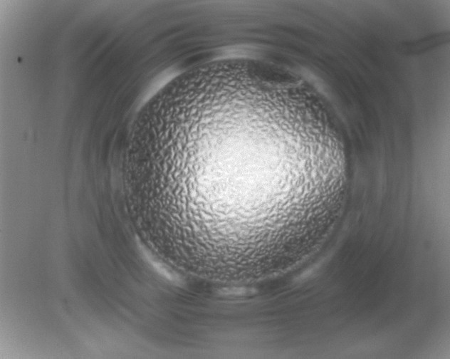 X0000082141137200701262236