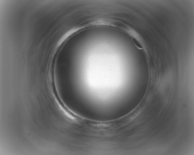 X0000082141141200701262236
