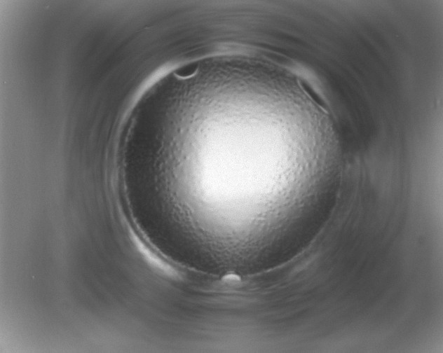 X0000082141143200701262236