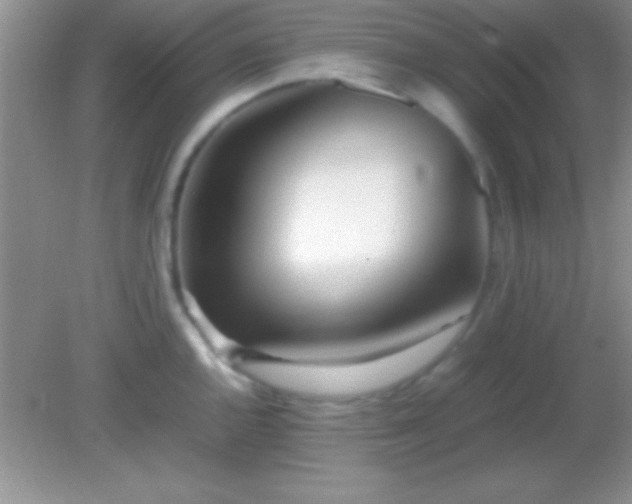 X0000082141144200701262236
