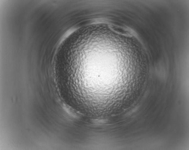 X0000082141145200701262236