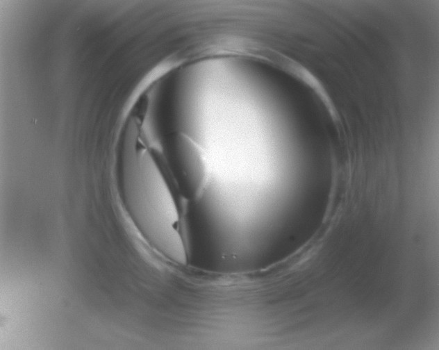 X0000082141146200701262236