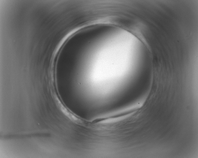 X0000082141148200701262236