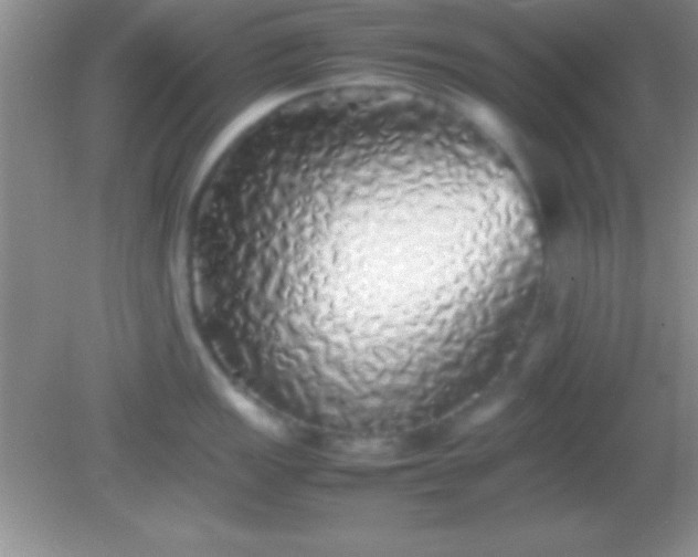 X0000082141149200701262236