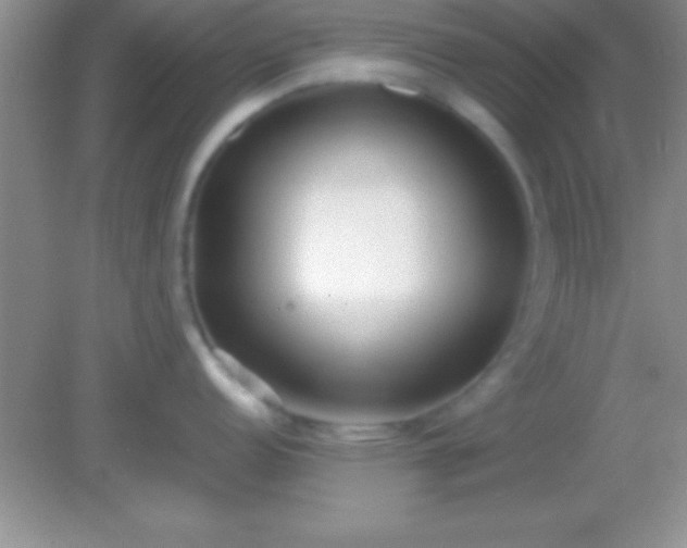X0000082141152200701262236