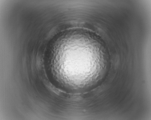 X0000082141154200701262235