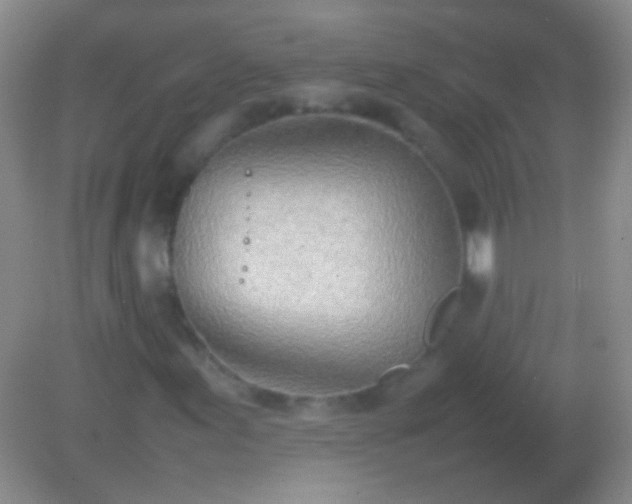 X0000082141155200701262235
