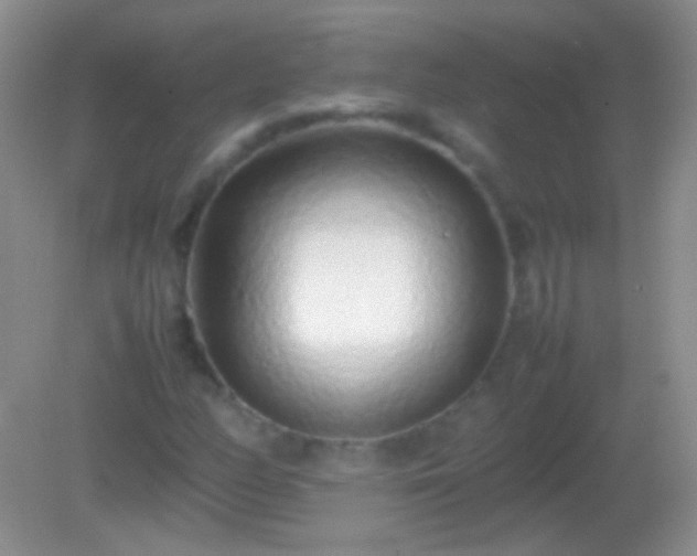 X0000082141158200701262235