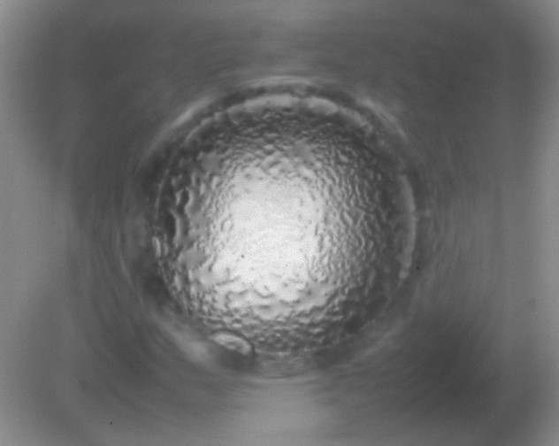 X0000082141159200701262235