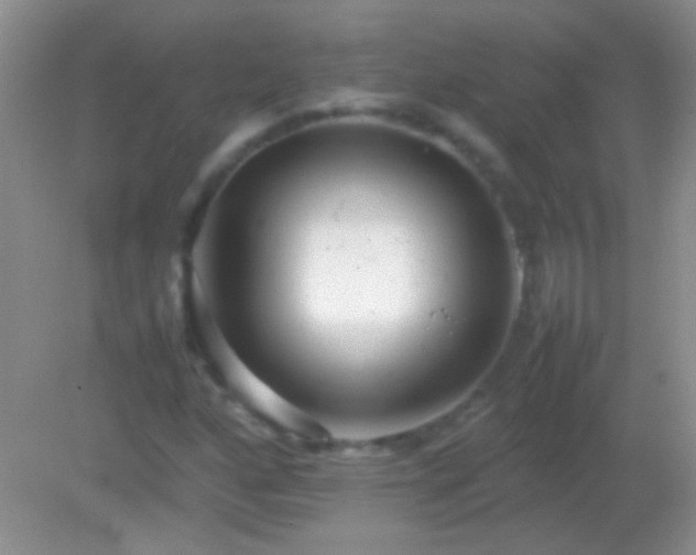 X0000082141160200701262235