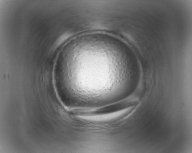 X0000082141163200701262235