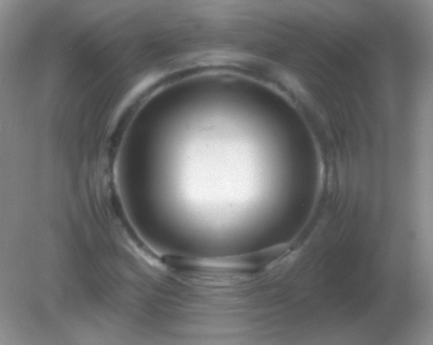 X0000082141164200701262235