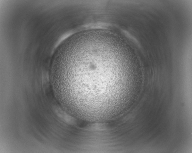 X0000082141166200701262235