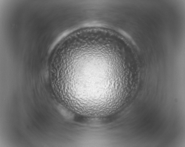 X0000082141167200701262235