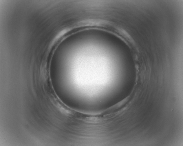 X0000082141172200701262235