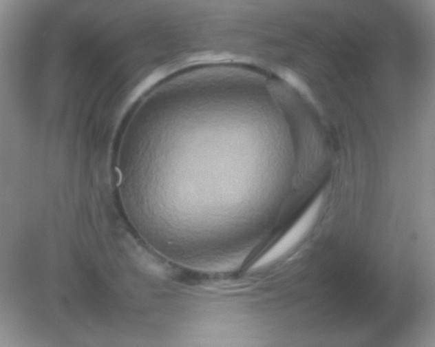 X0000082141173200701262235