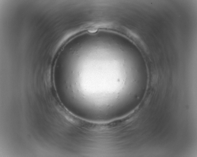 X0000082141174200701262235