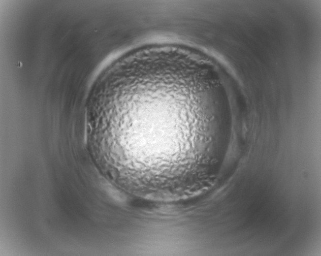 X0000082141175200701262235