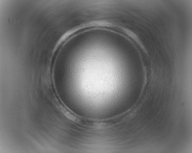 X0000082141176200701262235