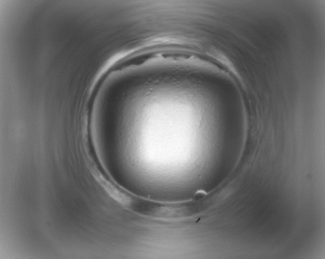 X0000082141179200701262235