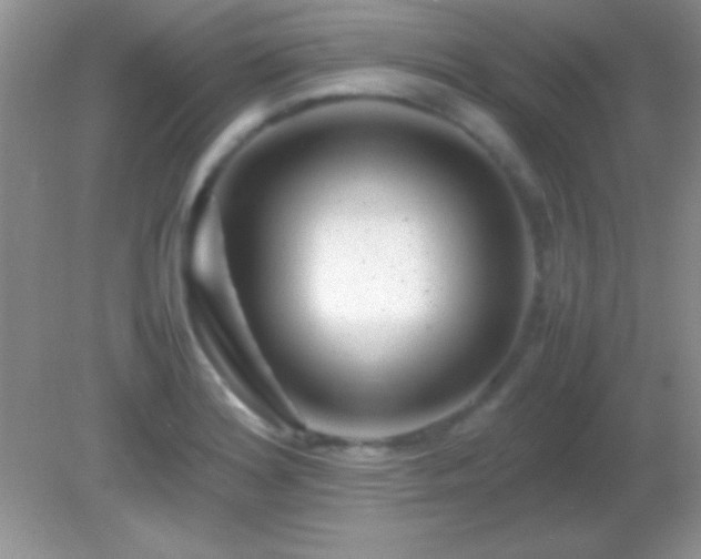X0000082141180200701262235
