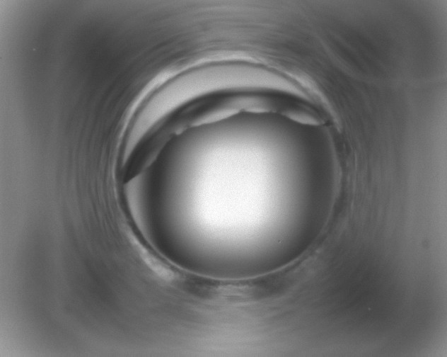 X0000082141181200701262235