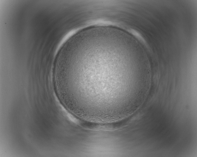 X0000082141183200701262235