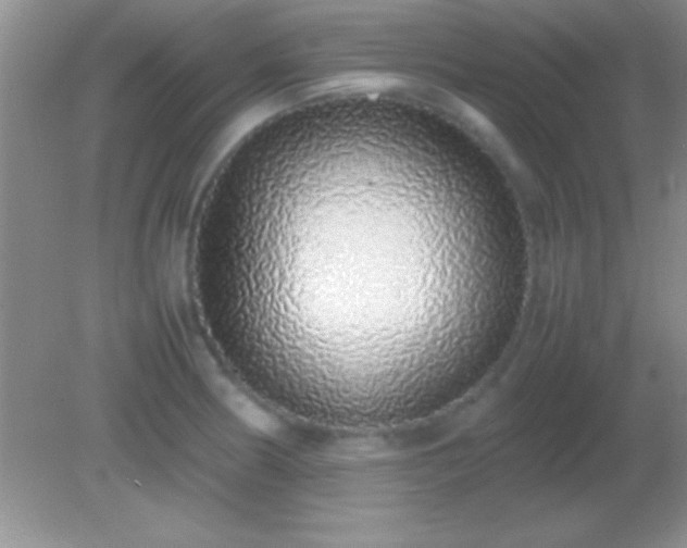 X0000082141186200701262235