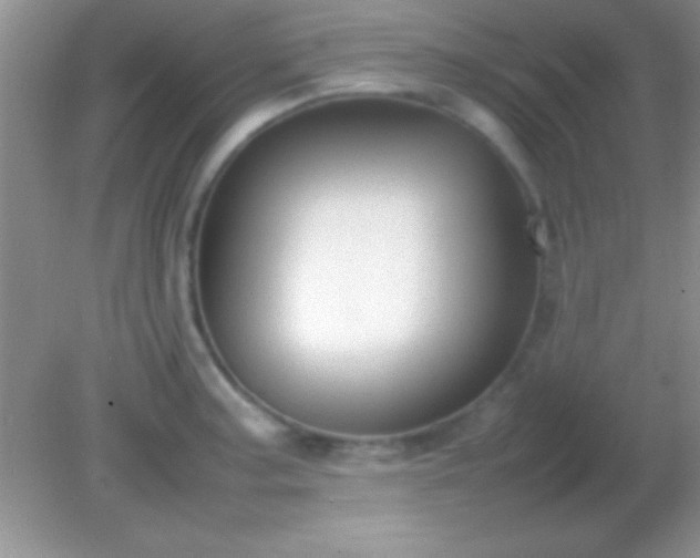 X0000082141187200701262235