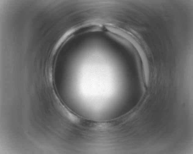 X0000082141188200701262234
