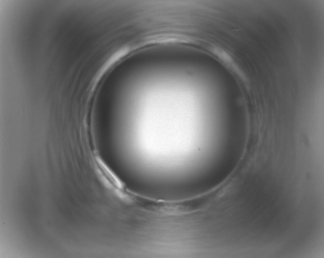 X0000082141189200701262234