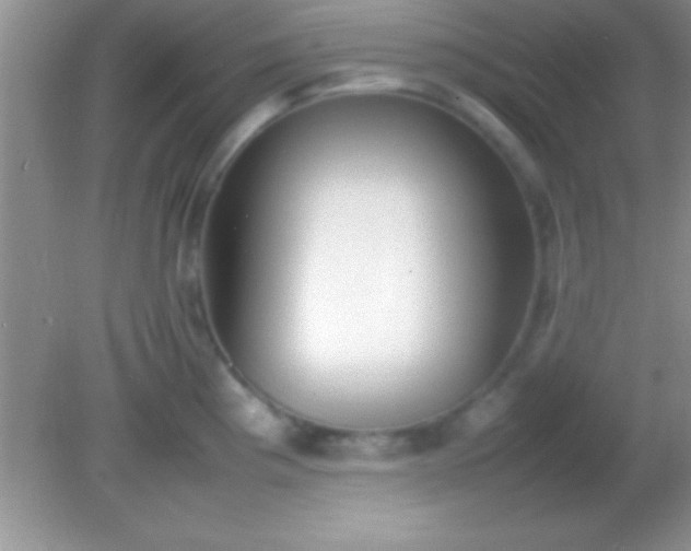 X0000082141193200701262234