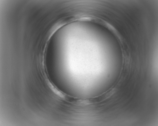 X0000082141194200701262234