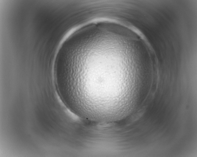X0000082141199200701262234