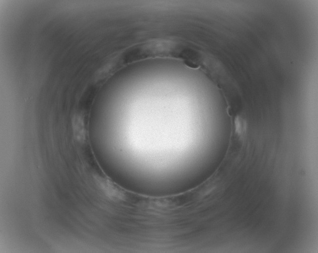 X0000082141203200701262234