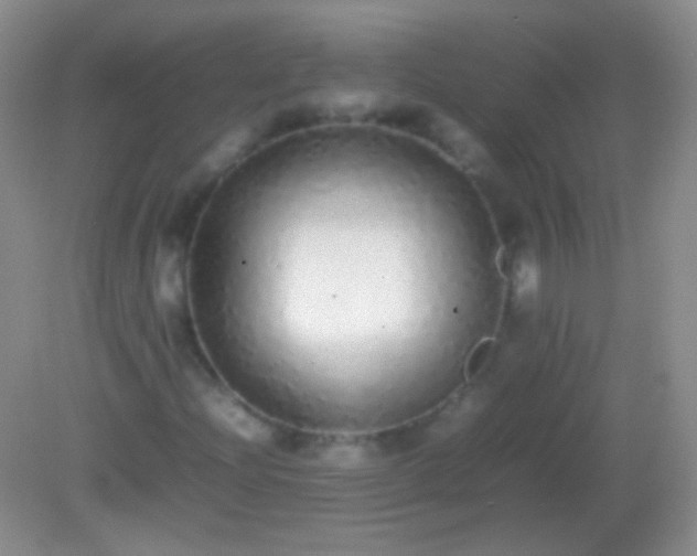 X0000082141204200701262234