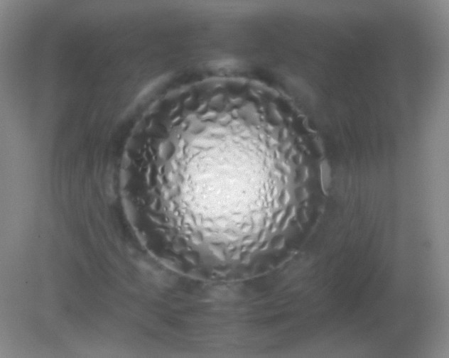 X0000082141205200701262234
