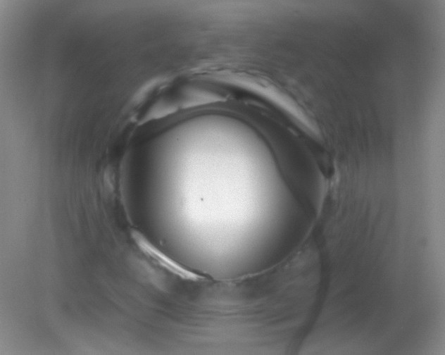 X0000082141206200701262234