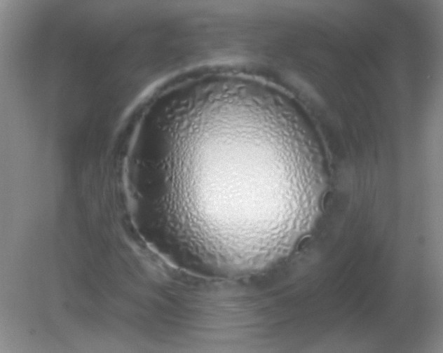 X0000082141208200701262234