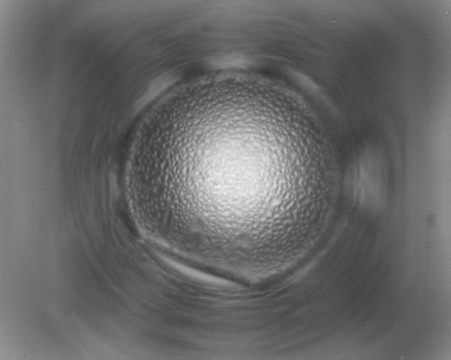X0000082141209200701262234